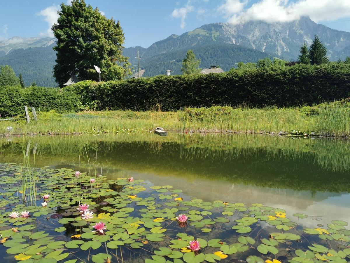 Landhotel Kastanienhof Gundersheim Exteriér fotografie